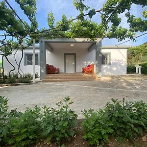  Maison d'hôtes Progon House Albanie